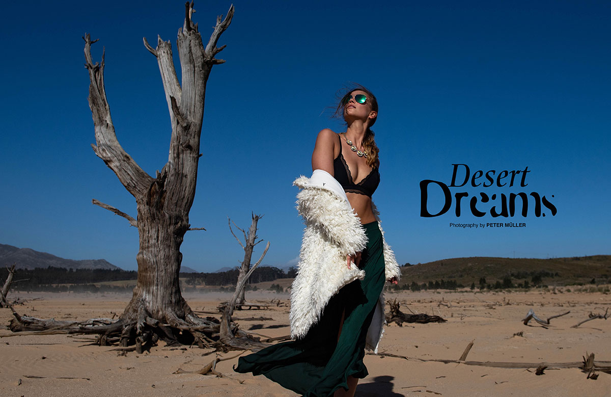 Desert Dreams