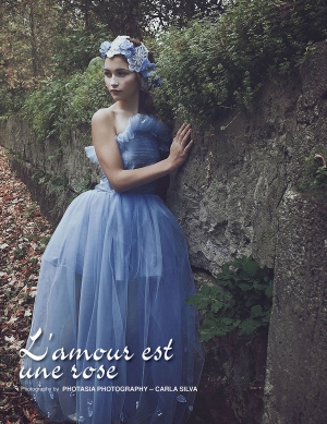 L&#039;amour est une rose